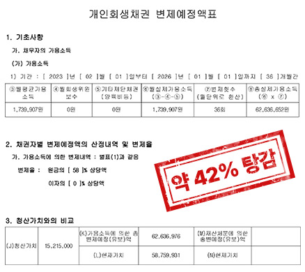 약 42% 탕감